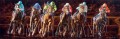 Zenyatta Winning the 2008 Ladies Classic - horseracing giclee print
